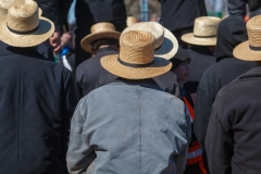 Amish farmers, wearing straw hats, watch an auctioneer sell farm equipment at a mud sale.