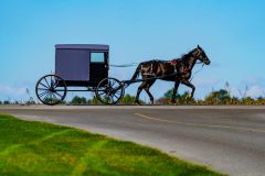 Intercourse, PA, USA - September 20, 2020: A silhouette view of an Amish buggy as it travels on a rural roadway in Lancaster County, PA.