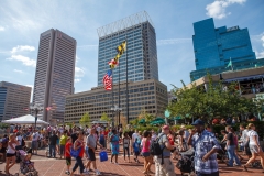 There is plenty of activity in the Inner Harbor of the City of Baltimore, Maryland.
