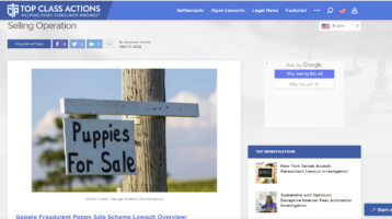 Google Sues Fake Puppy Seller and News Story Uses George Sheldon Puppy For Sale Image