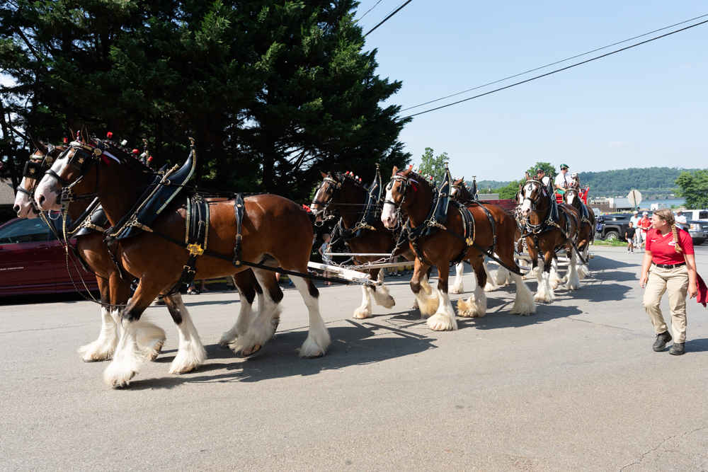 🚀 GeorgeSheldon.com Has Been Redesigned!