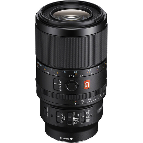 Sony 100mm Macro