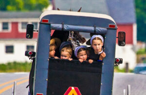 Amish children looking out of a buggy.