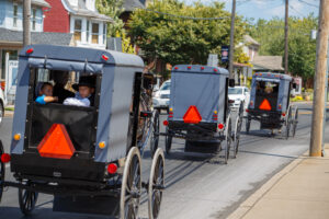 Three Amish Buggies